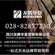 打造品牌视觉高地 上海索引广告公司的品牌形象之道